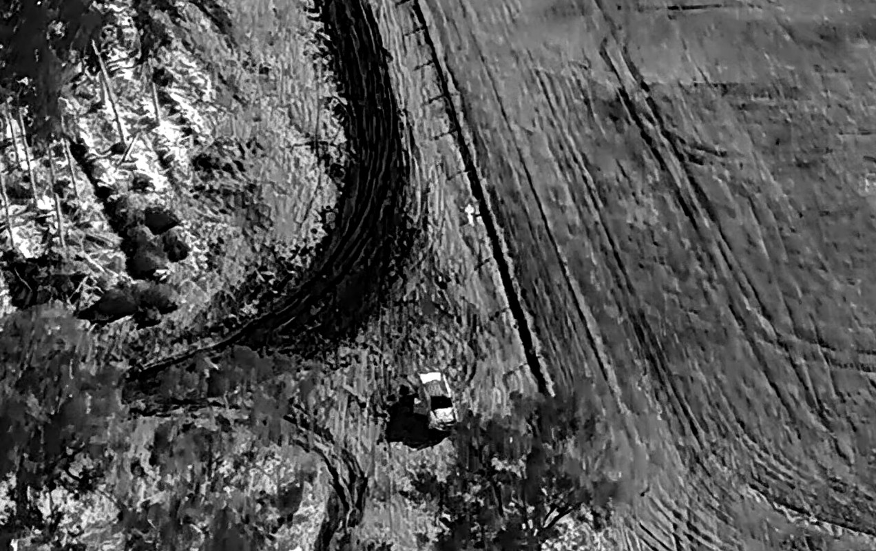 Wildlife and asset location